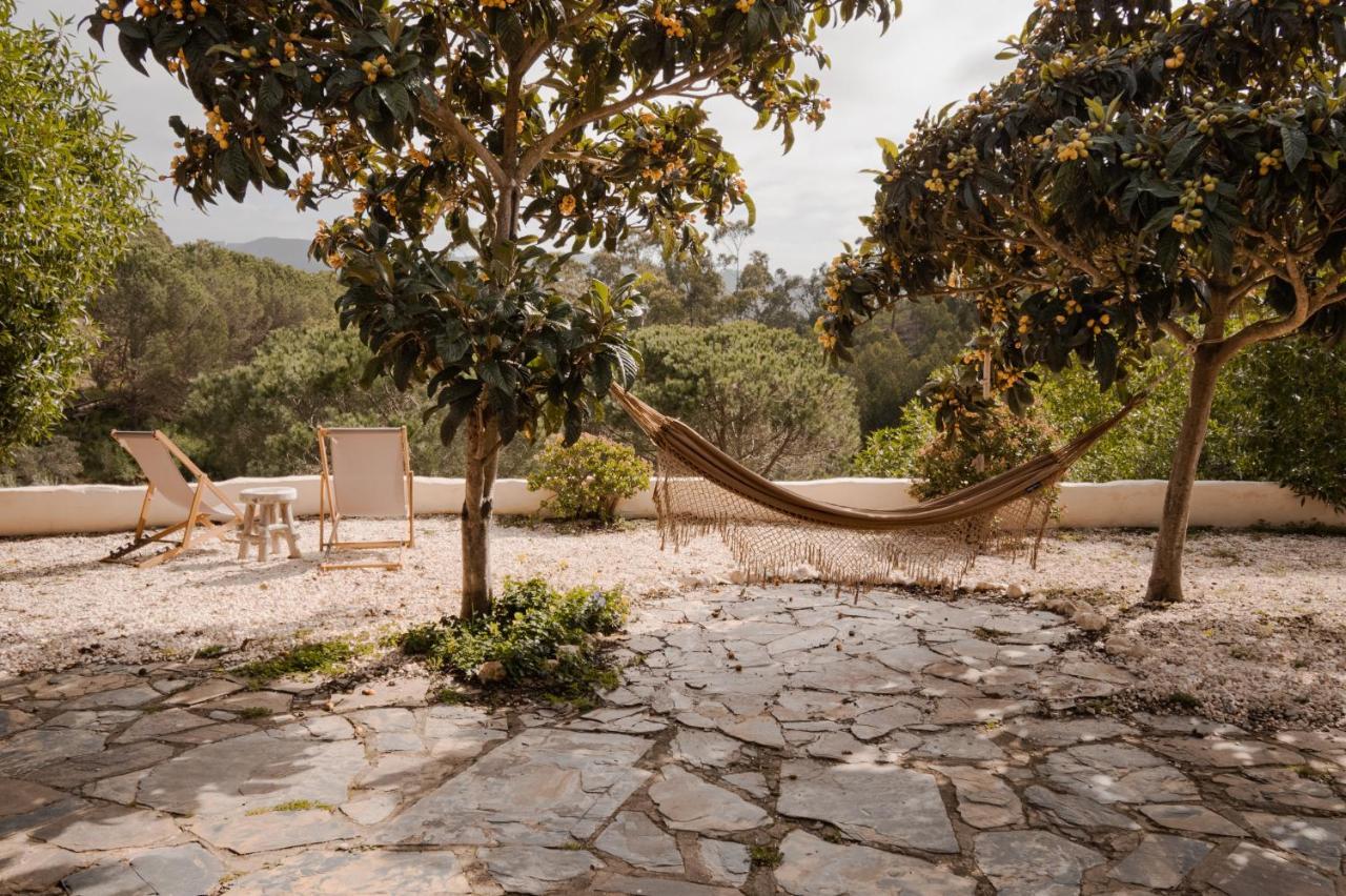 The Lemon Lodge อัลเจซูร์ ภายนอก รูปภาพ